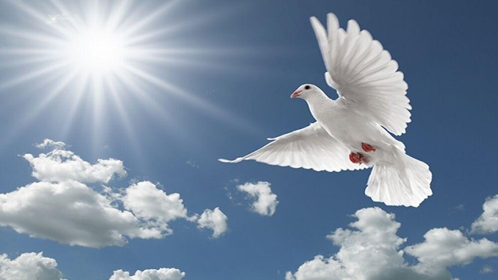 Participación del CEF Nº 9 por fallecimiento