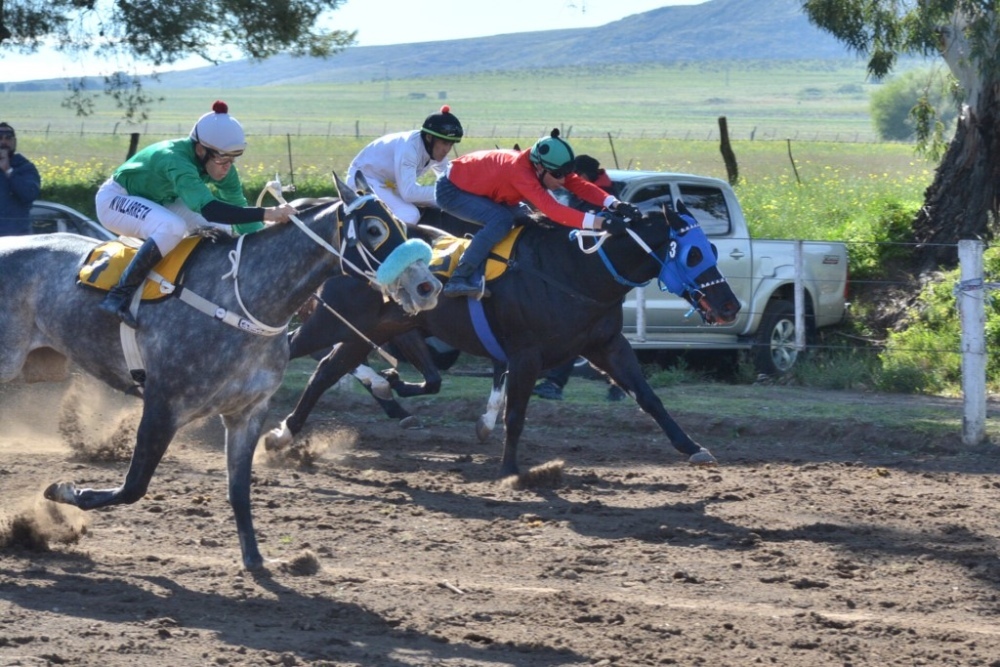 Turf: Programa de carreras domingo 24 de agosto en Tornquist