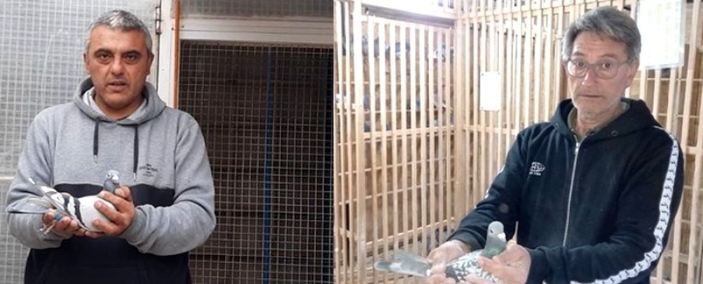 Colombófilas: Tebes y Spialtini los mejores en el primer nacional