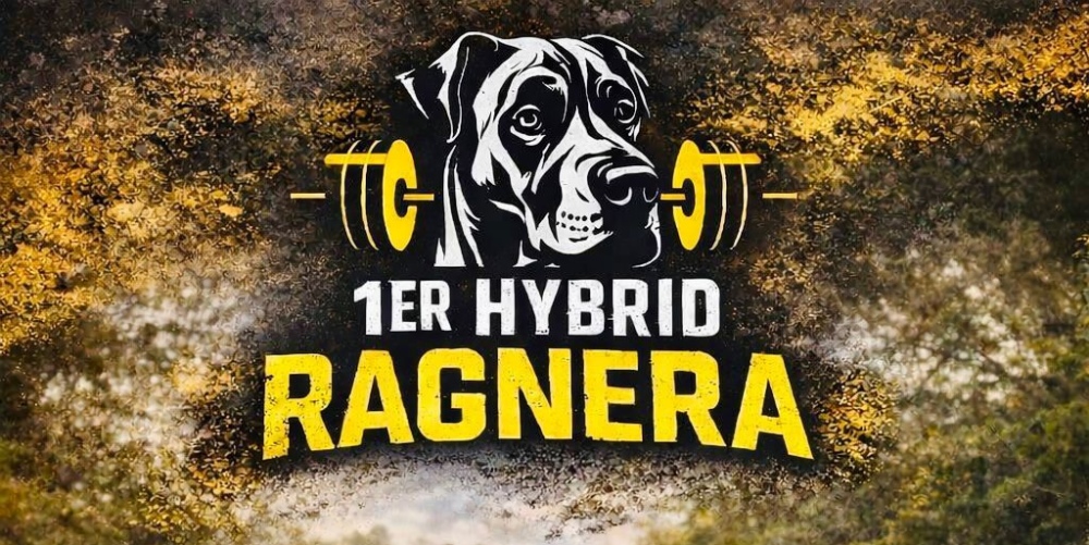 Invitan a participar de la primer hybrid ragnera a realizarse el 7 de febrero