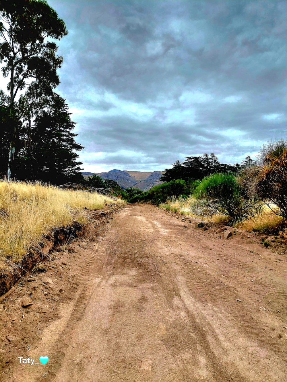 Villa Ventana: invitan a sumarse a corridas y caminatas todos los jueves