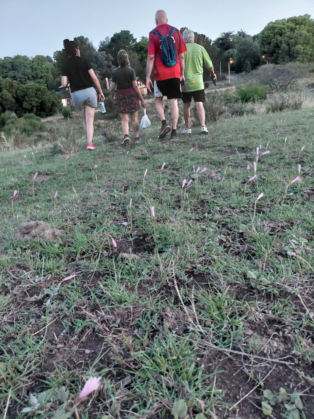 Villa Ventana: invitan a sumarse a corridas y caminatas todos los jueves