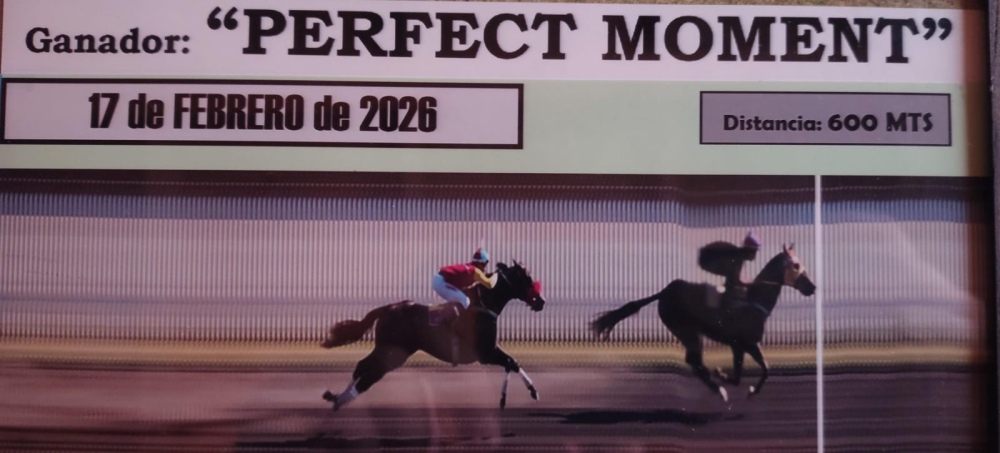 Turf: ”Perfect Moment” le dio un nuevo triunfo a Tornquist en Virrey del Pino