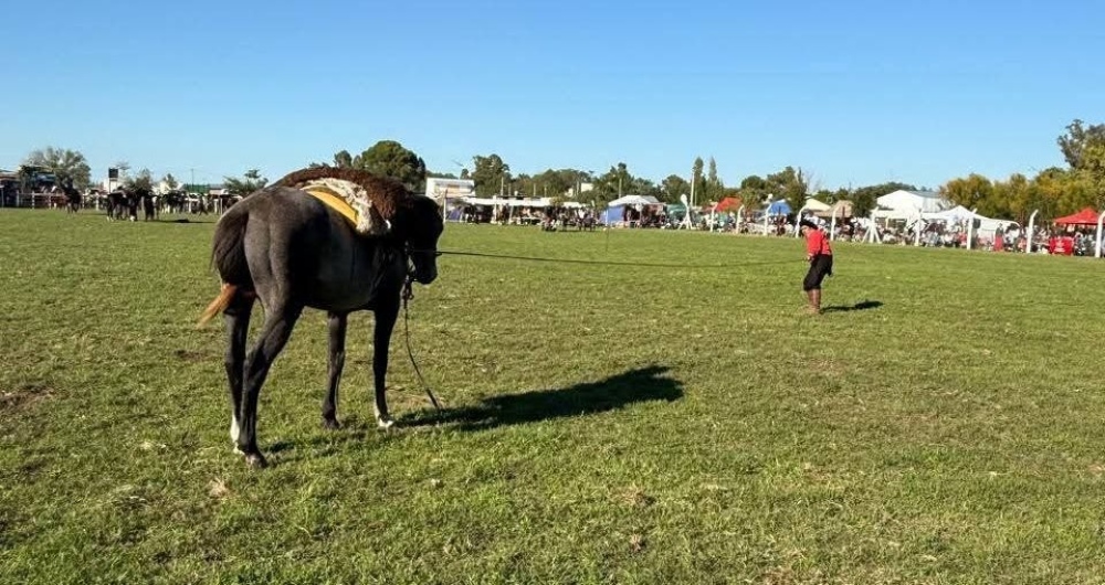 Se llevó a cabo la 16° del Festival de Folklore, Pialada y Jineteada en Tres Picos
