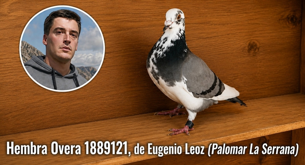 Colombófilas: Eugenio Leoz ganó y es líder absoluto en el campeonato