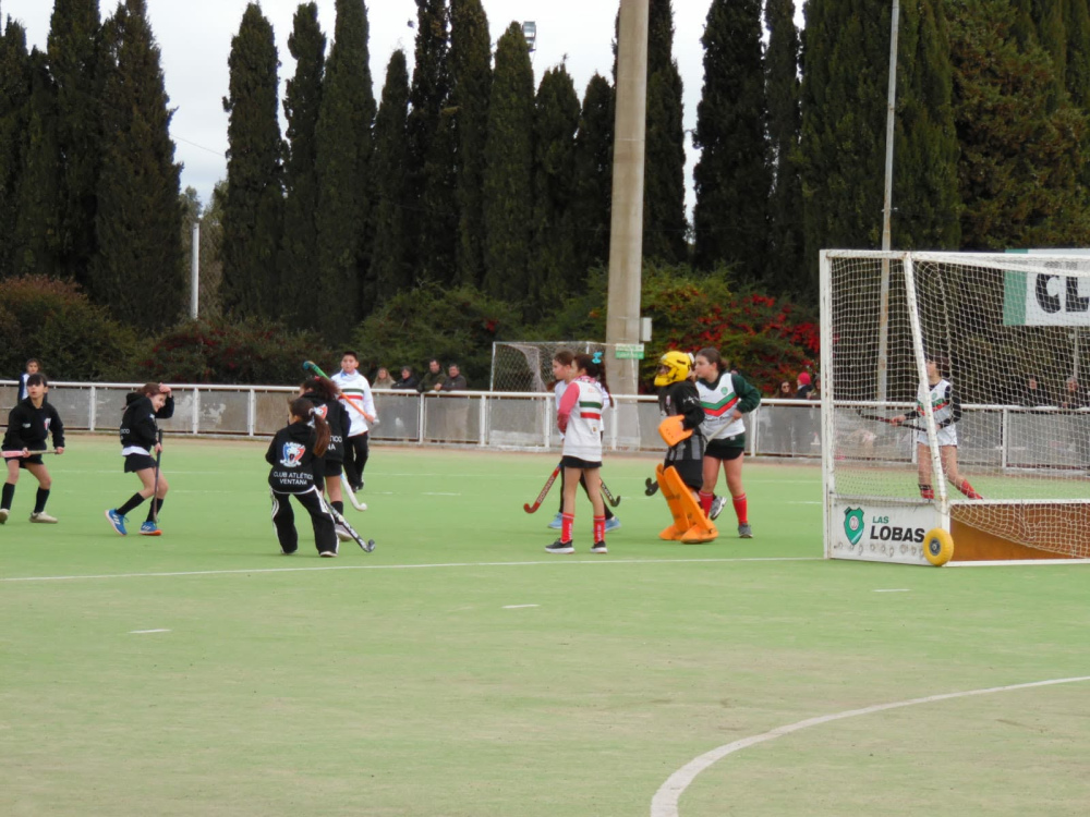 El pasado domingo se vivio una gran jornada de hockey Sub 12 en Tornquist