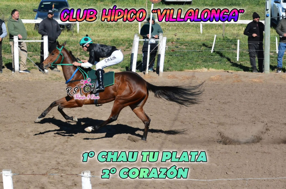 El Stud El Arroyito brilló en Villalonga con tres triunfos y un segundo puesto