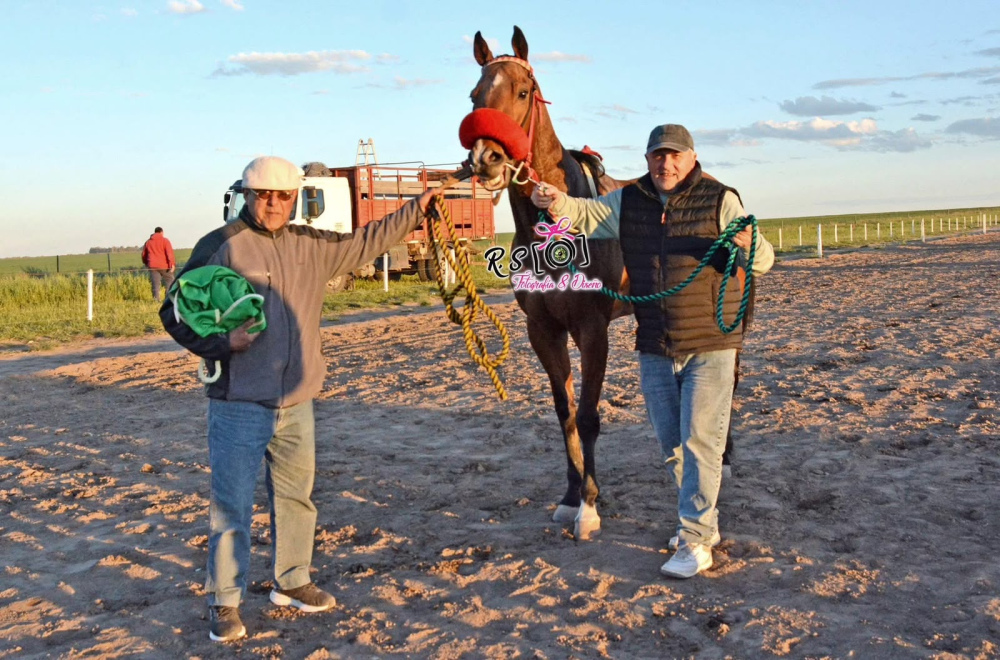 El Stud El Arroyito brilló en Villalonga con tres triunfos y un segundo puesto