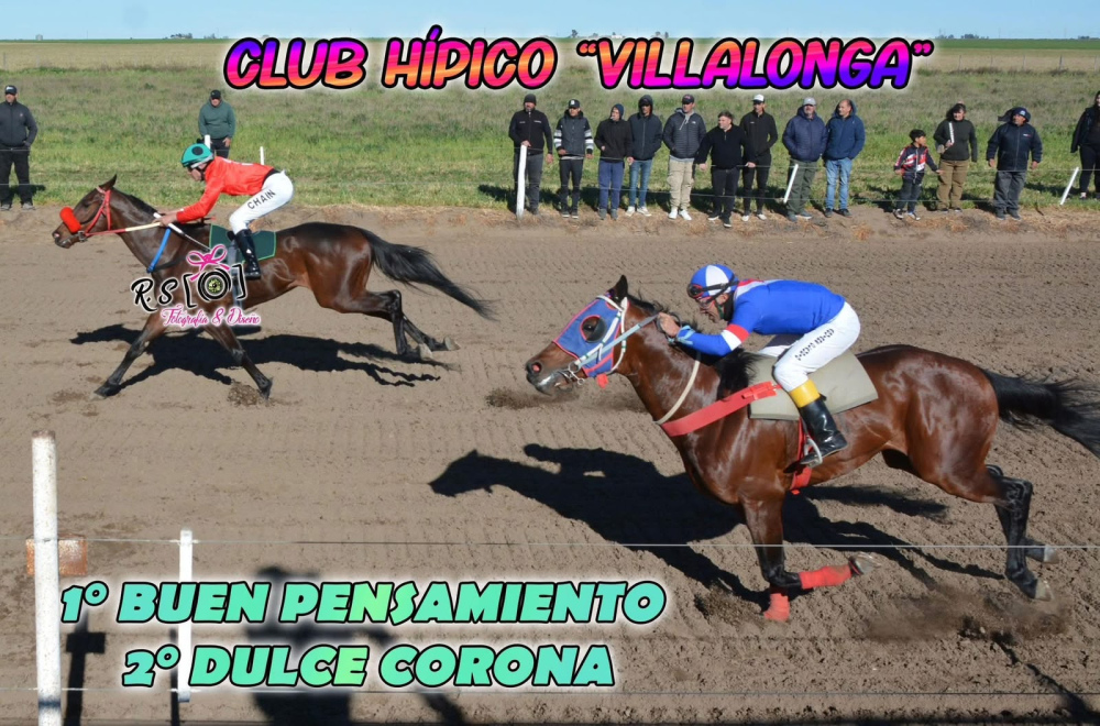 El Stud El Arroyito brilló en Villalonga con tres triunfos y un segundo puesto