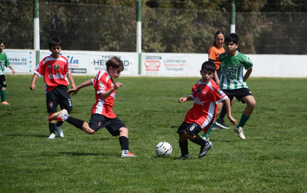 LRF: En inferiores se recuperaron partidos y se viene la vigesimosexta fecha