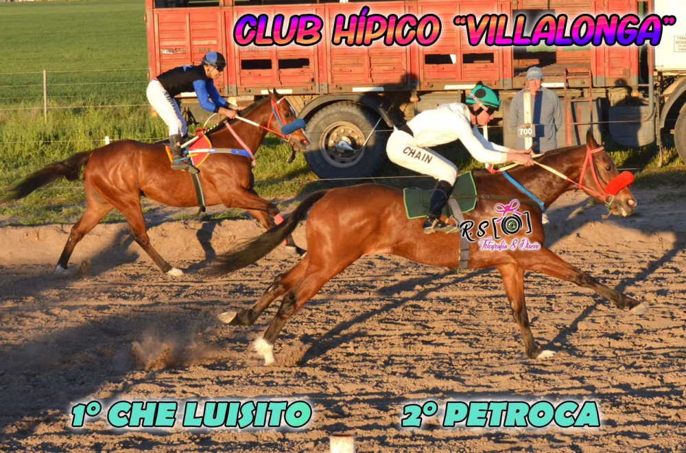 El Stud El Arroyito brilló en Villalonga con tres triunfos y un segundo puesto