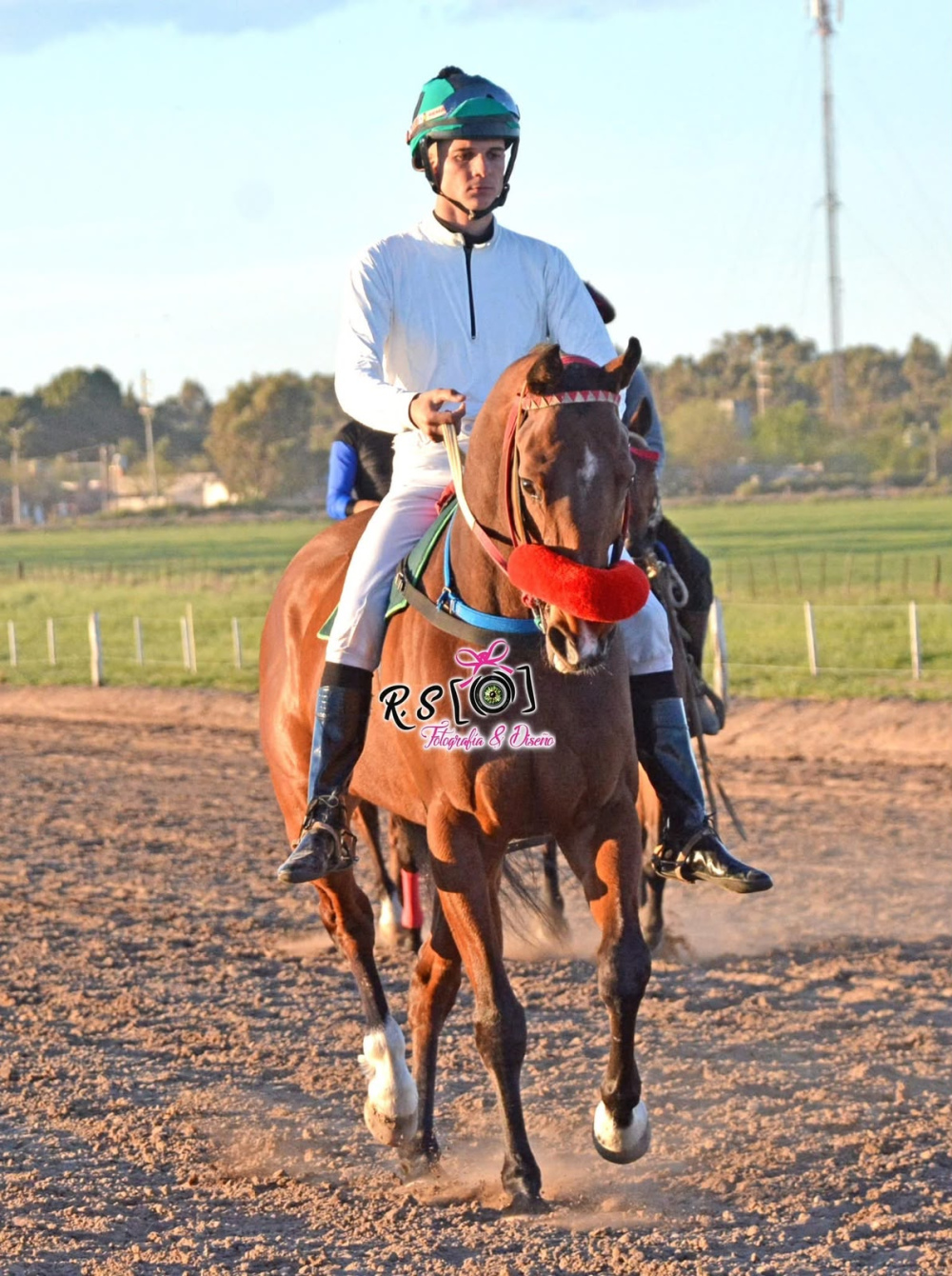 El Stud El Arroyito brilló en Villalonga con tres triunfos y un segundo puesto