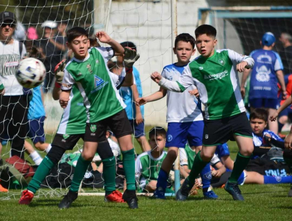 Semillero Verde participó de un encuentro de escuelitas de fútbol desarrollado en el Club Tiro Federal de Puan