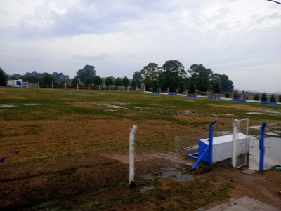 LRF: Fue suspendida la fecha de divisiones inferiores y la de Sub 15 femenina