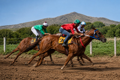 El Club H&iacute;pico y Social Las Sierras prepara una nueva jornada de turf en Tornquist