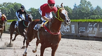 Turf: &ldquo;Alma Mora&rdquo; y su triunfo en Santa Rosa