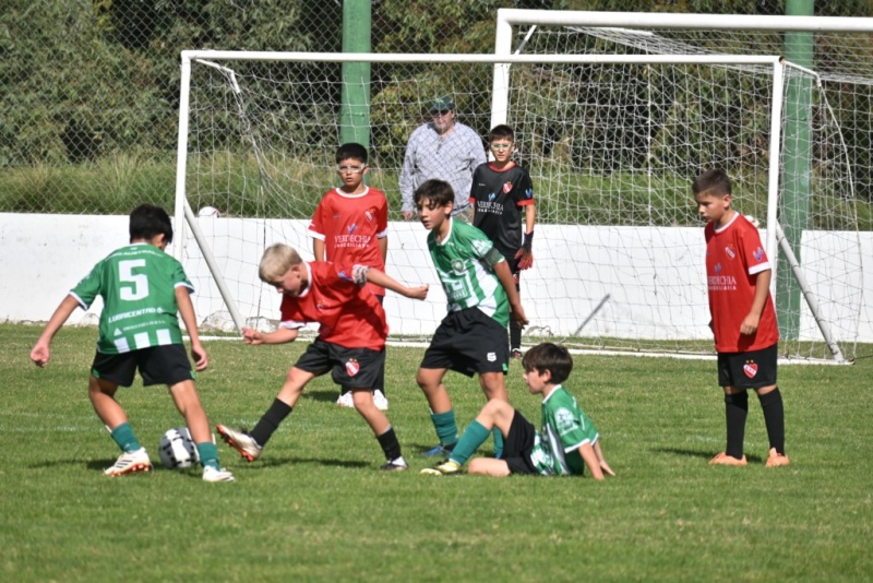 LRF Inferiores: todo sigue igual en lo m&aacute;s alto de la tabla de posiciones